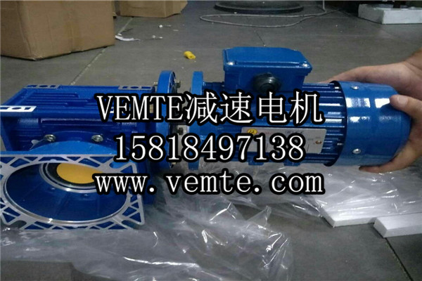 減速機(jī)電機(jī)廠(chǎng)家 (11)
